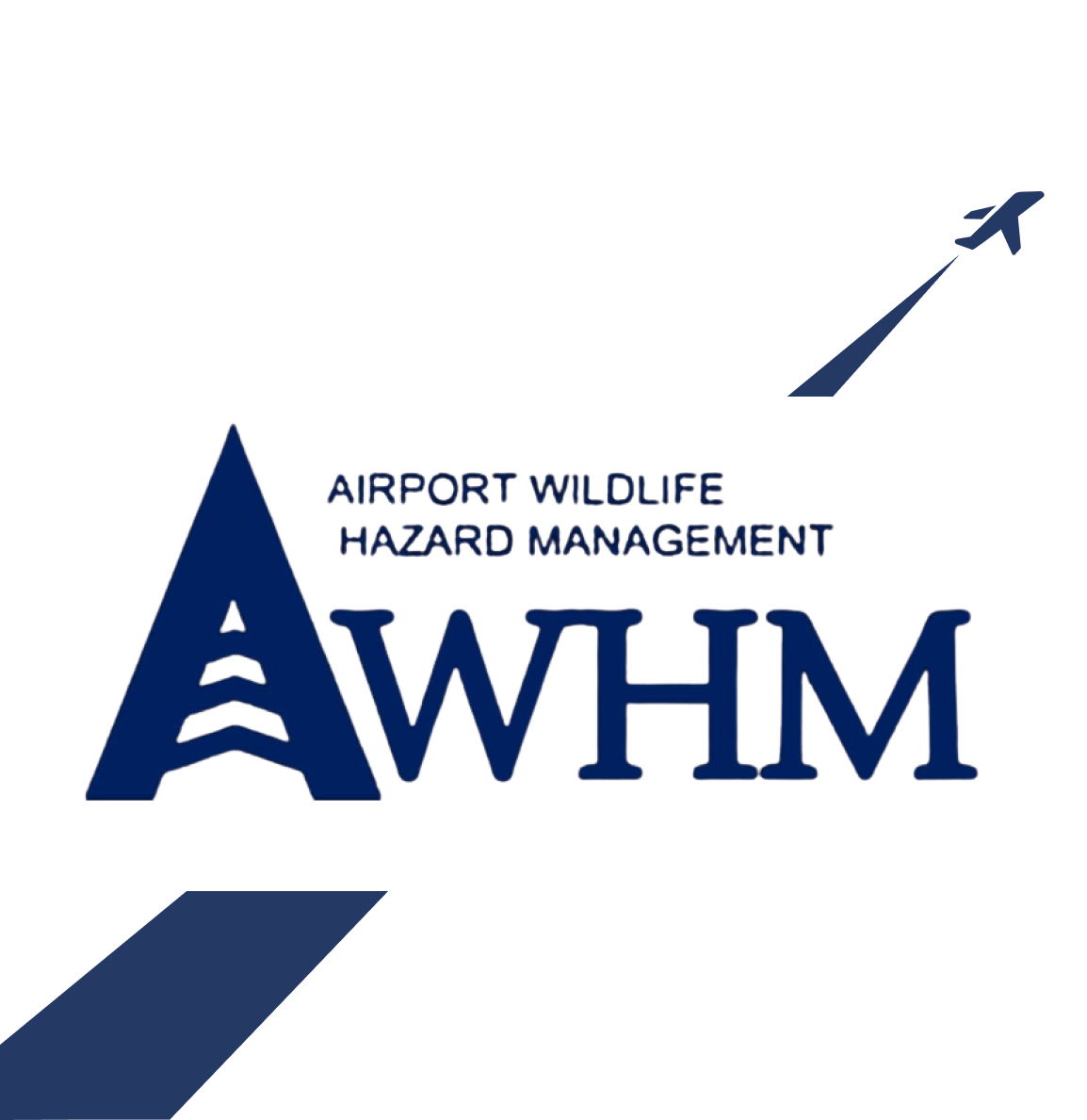 AWHM project website image export